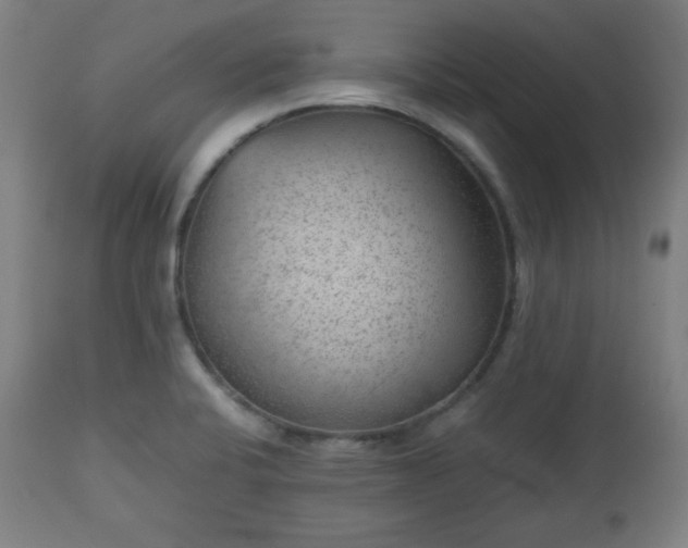 X0000112511424200908241409