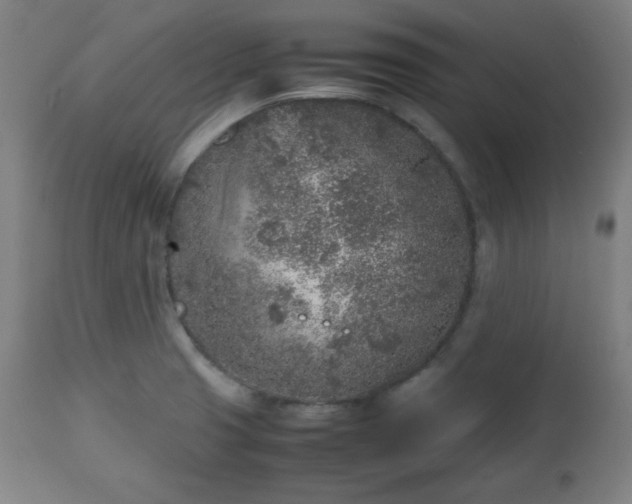 X0000112511425200908241409