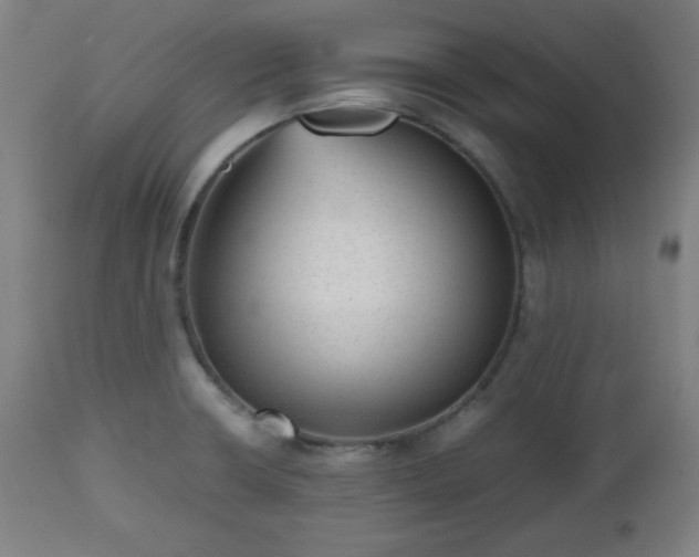 X0000112511426200908241409