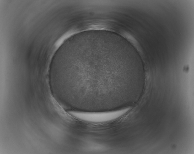 X0000112511427200908241409