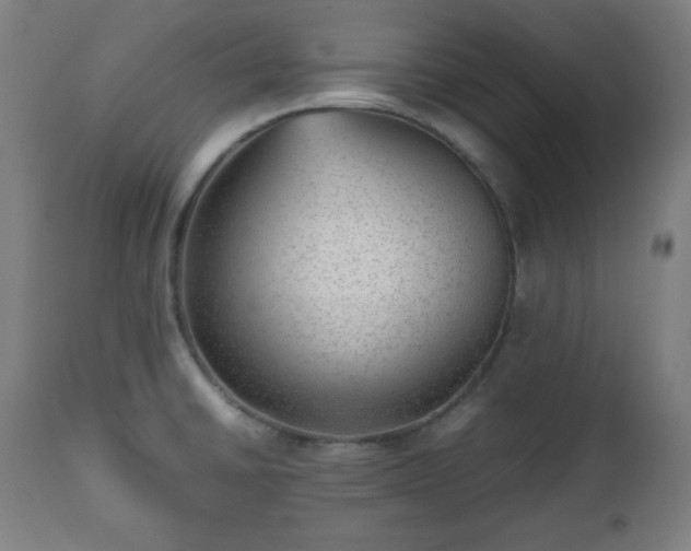 X0000112511430200908241409