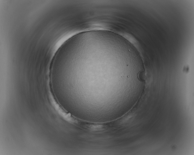 X0000112511431200908241409