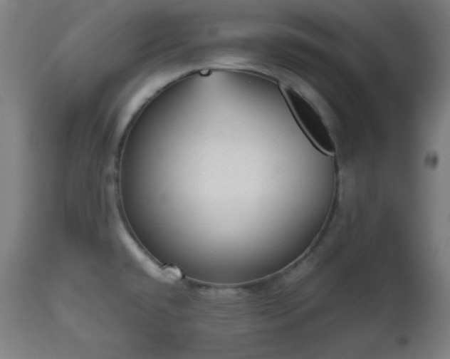 X0000112511432200908241409