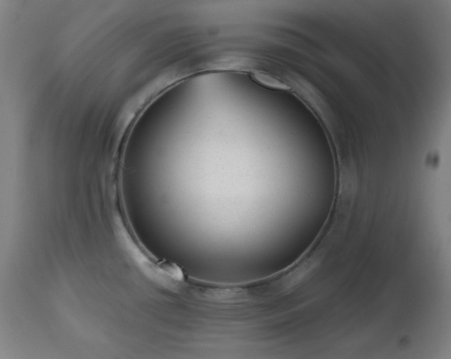 X0000112511434200908241409