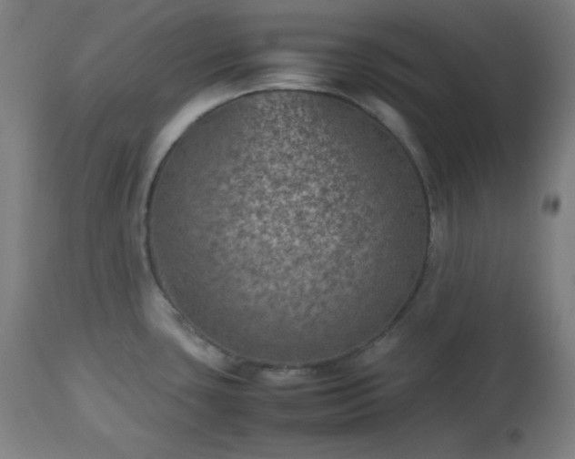 X0000112511435200908241409