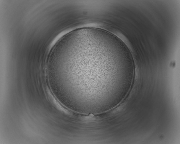 X0000112511436200908241409