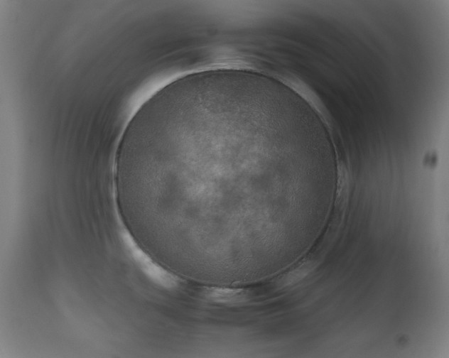 X0000112511439200908241409