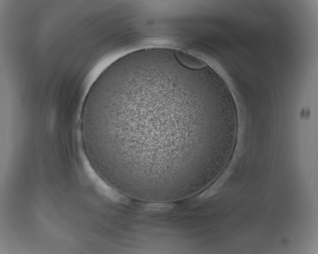 X0000112511440200908241409