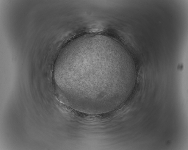 X0000112511441200908241409