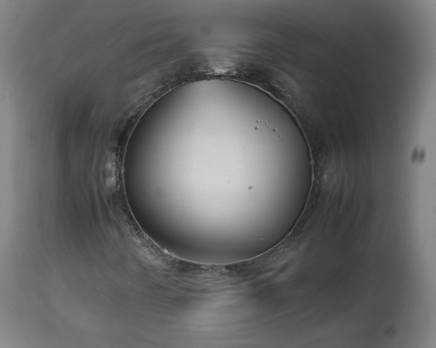 X0000112511442200908241408