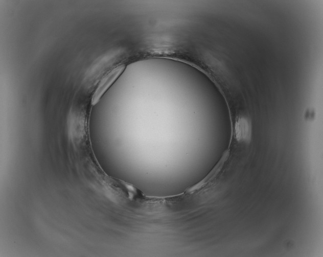 X0000112511444200908241408