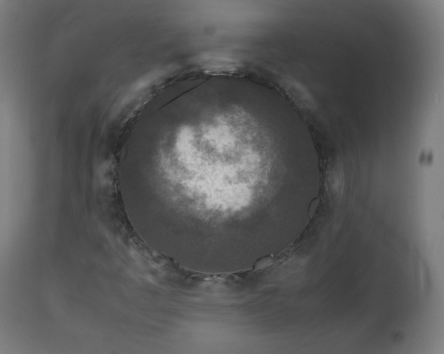 X0000112511445200908241408