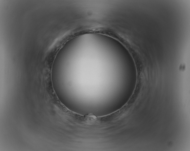 X0000112511447200908241408