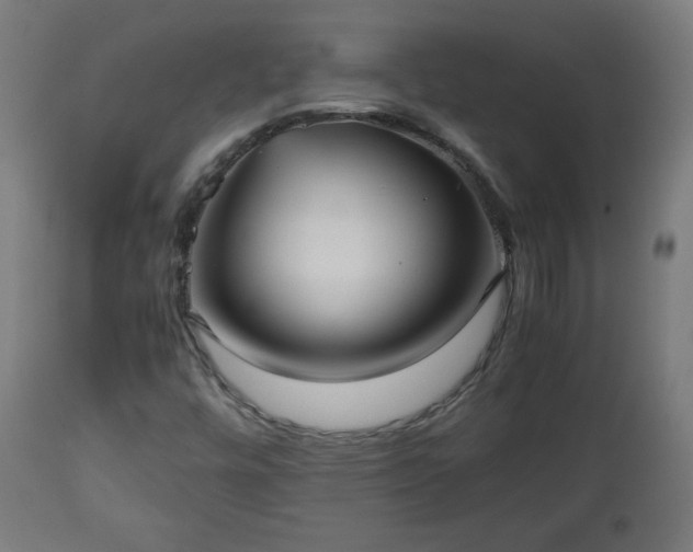 X0000112511448200908241408