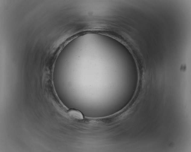 X0000112511449200908241408