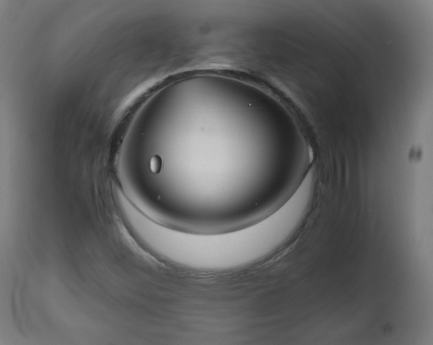 X0000112511452200908241408