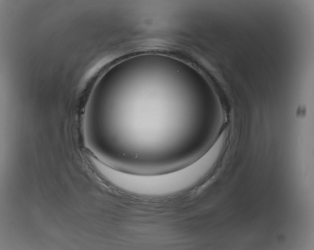 X0000112511453200908241408