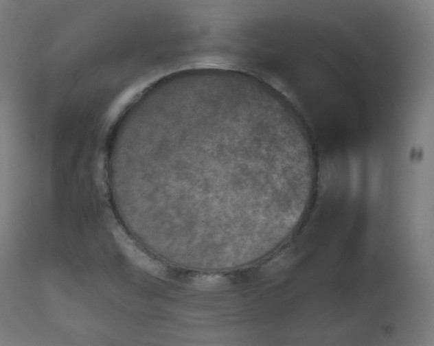 X0000112511454200908241408