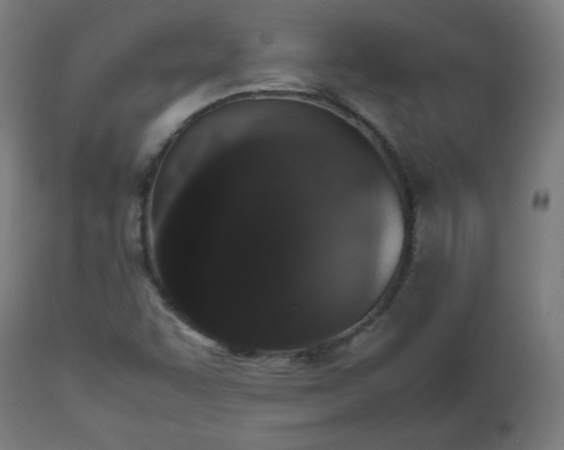 X0000112511455200908241408