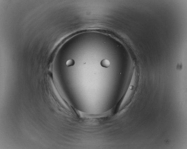 X0000112511457200908241408