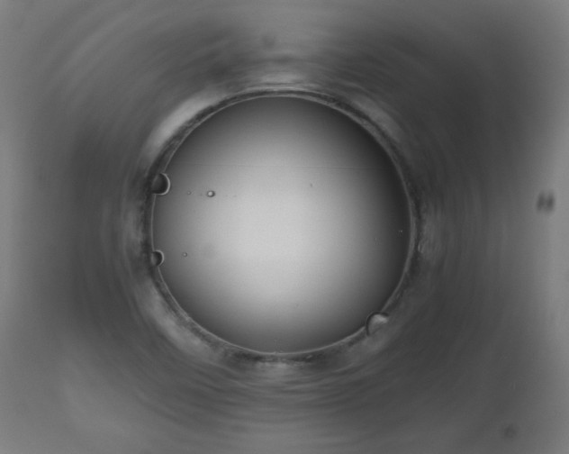 X0000112511458200908241408