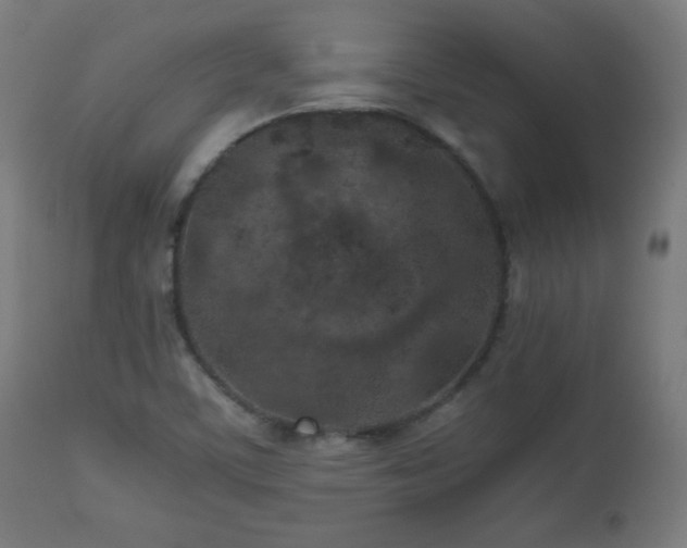 X0000112511459200908241408