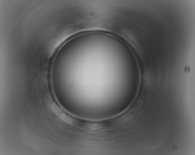 X0000112511460200908241408