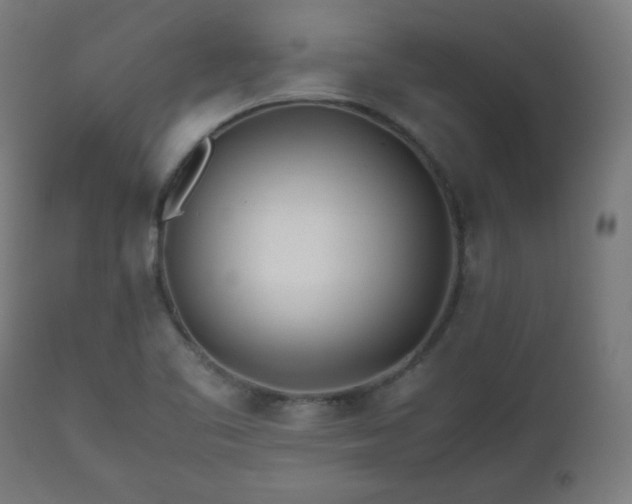 X0000112511461200908241408