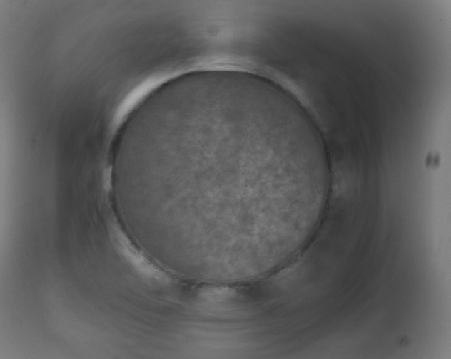 X0000112511462200908241408