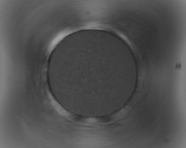 X0000112511463200908241408