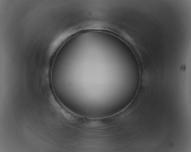 X0000112511464200908241408