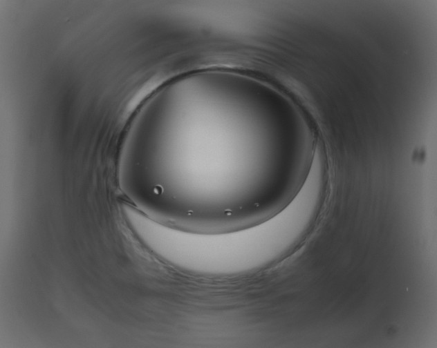 X0000112511465200908241408