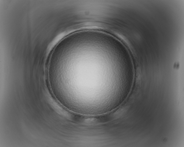 X0000112511467200908241408