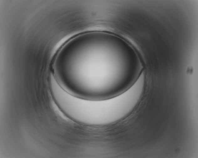 X0000112511468200908241408