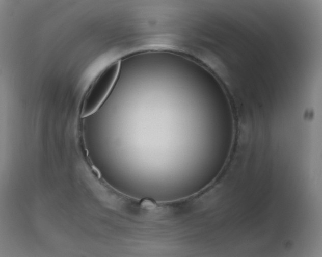 X0000112511469200908241408