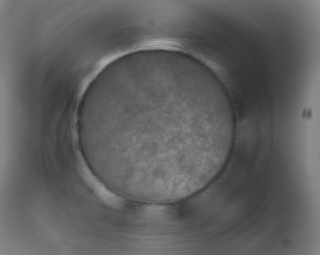 X0000112511470200908241408