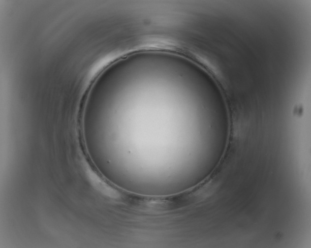 X0000112511471200908241408