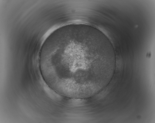 X0000112511474200908241408