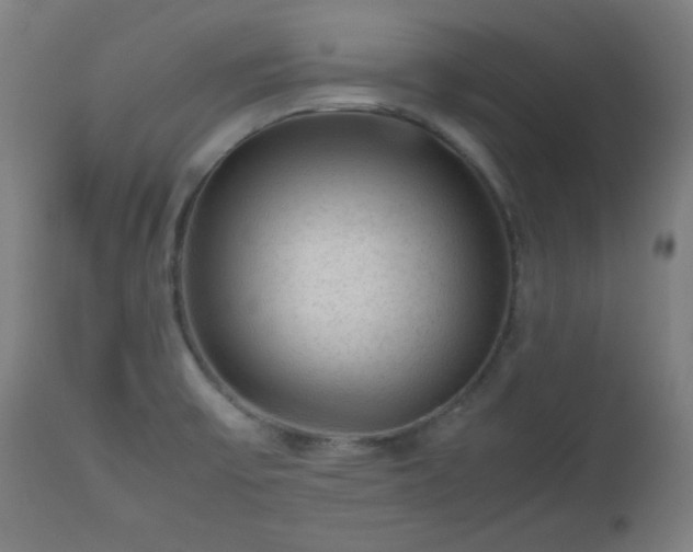 X0000112511475200908241408