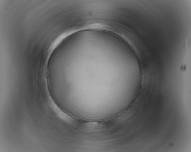 X0000112511478200908241408