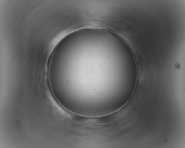 X0000112511479200908241408