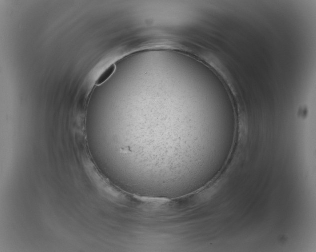 X0000112511481200908241408