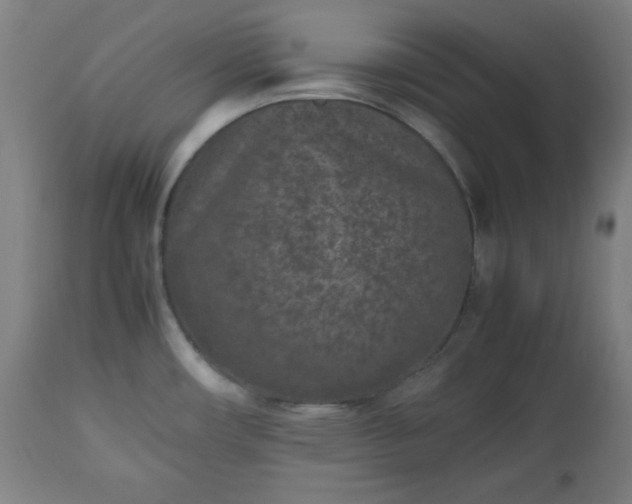 X0000112511482200908241408