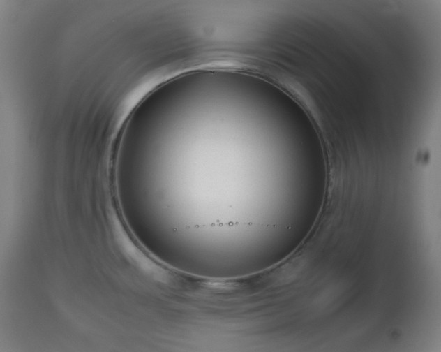 X0000112511483200908241408