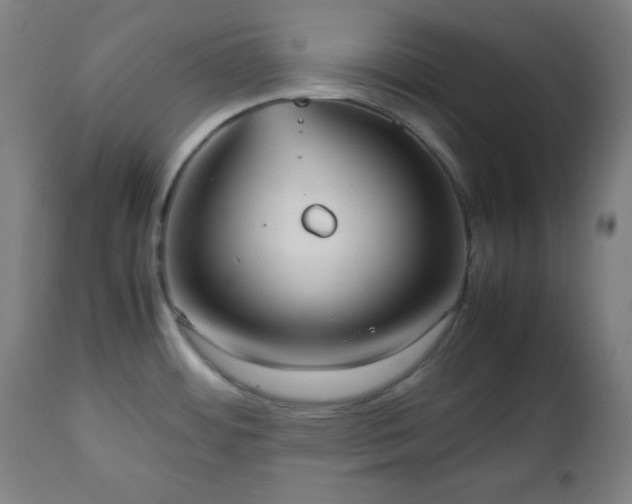 X0000112511484200908241408