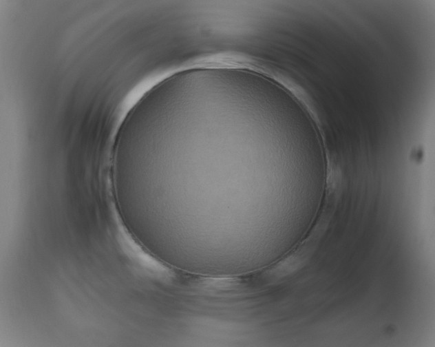 X0000112511486200908241408