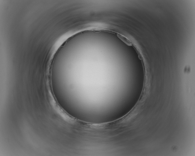 X0000112511488200908241408