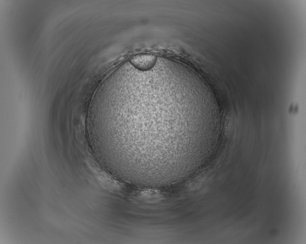 X0000112511489200908241407