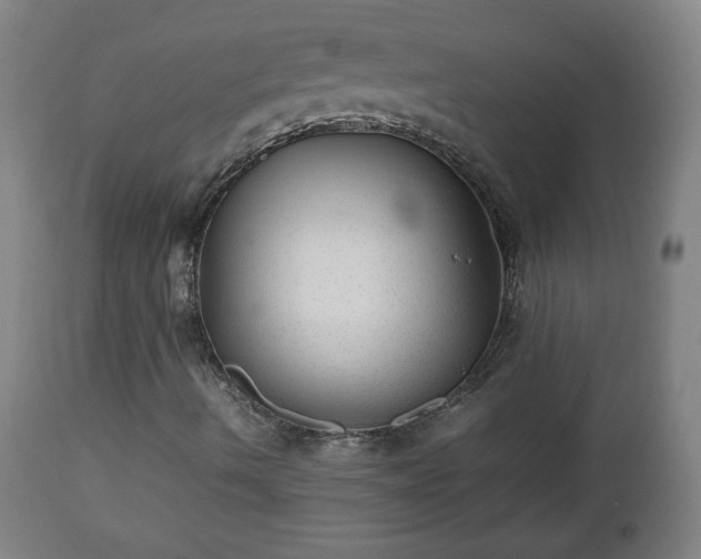 X0000112511490200908241407