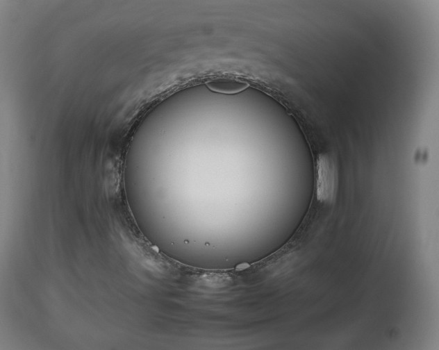 X0000112511491200908241407